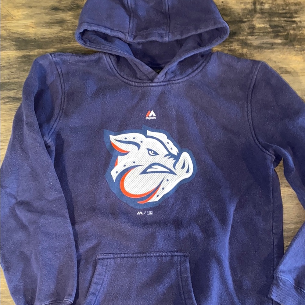 Iron Pigs Lehigh Valley Baseball Blue Hoodie with Graphic Logo large 14/16 BOY